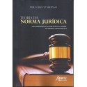 Teoria da norma jurídica: aplicabilidade e integração da norma de direito fundamental