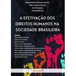 A EFETIVAÇÃO DOS DIREITOS HUMANOS NA SOCIEDADE BRASILEIRA